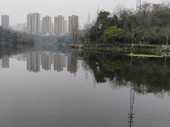 -重庆彩云湖湿地公园
