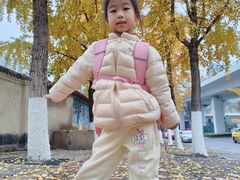 -高庙村(地铁站)