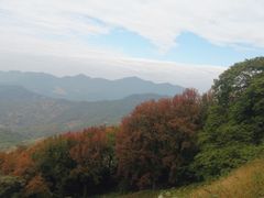 -广州市石门国家森林公园