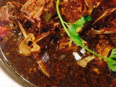 -芦月轩羊蝎子(北蜂窝店)