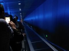 -白鹤梁水下博物馆
