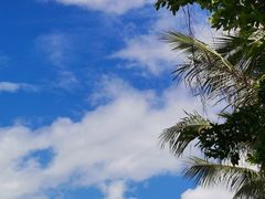 -深圳湾公园(南山区)