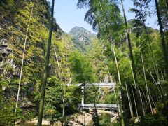 -水墨汀溪风景区