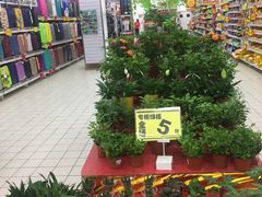 -大润发(花雨店)