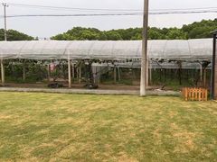 -美家乐农庄·露营·团建(大治路店)