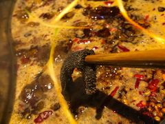 -佬革命主题火锅(玉沙路店)