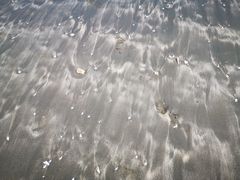 -台山黑沙湾海浴场