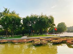 -石家庄市植物园
