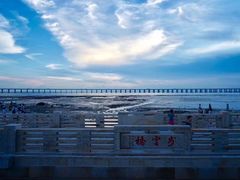 -宝安西湾红树林湿地公园