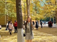 -辽宁大学(崇山校区)