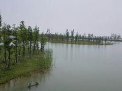 -太湖湖滨国家湿地公园-停车场
