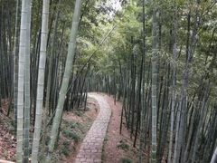 -莫干山风景区