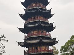 -龙华素斋(龙华路店)