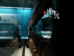 -荆州博物馆