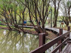 -长兴太湖图影湿地文化园