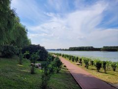 -丁香湖公园