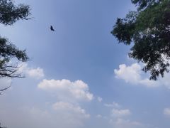 -长春市南湖公园