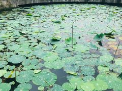-柯岩风景区