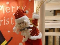 -香厨中餐厅(松北香格里拉店)