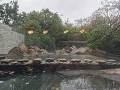 -大连大和馆观山阁温泉酒店