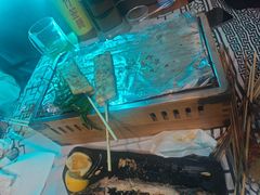 -云晓光头烧烤吧(盛夏店)