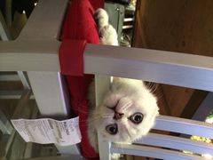 Mikaku-MIKAKU(万达广场上海宝山店)