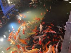 -百年同和·江南点心院(山塘街店)