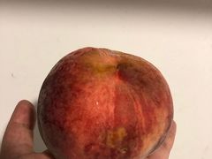 -乐乐鲜果水果超市(河北店)