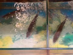 -南方酒店·淮扬菜(回民街店)