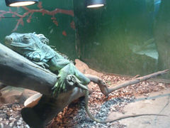 android_upload_pic-上海大自然野生昆虫馆