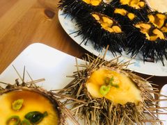 -海胆小馆(东北水饺·春柳店)