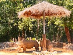 -北京野生动物园