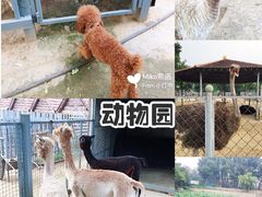 -意大利农场度假村