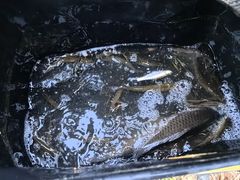 -白鹭湾湿地公园