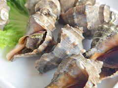 -大锅强·蒸海鲜青岛菜(金沙滩店)