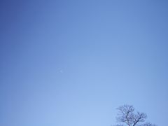 -苏州太湖国家湿地公园