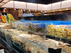 -苏格里岛自助烤肉海鲜火锅(成都金牛万达店)