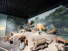 -深圳博物馆历史民俗馆