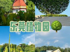 -东莞植物园