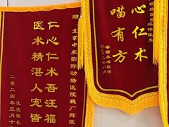 -中农国际动物医院24小时·猫科·骨科·急重症中心