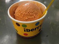 -莓园冰淇淋店