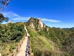 -大岭沟猕猴桃谷风景区