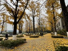 -两江幸福广场
