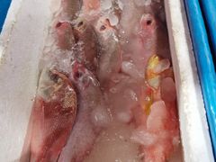 -金巴兰海鲜王