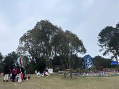 -铁山坪森林公园