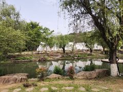 -白马涧龙池景区