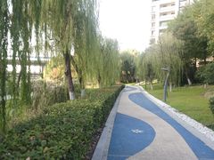 -映月湖中央公园