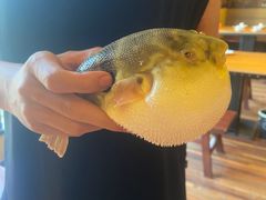 -永安鱼庄·镇江菜(三店纬五路店)