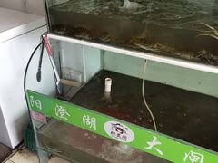 水产区-阳澄湖大闸蟹·琼灵阁牌品牌连锁(吴中总店)