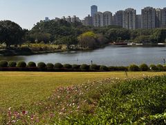 -东莞植物园
